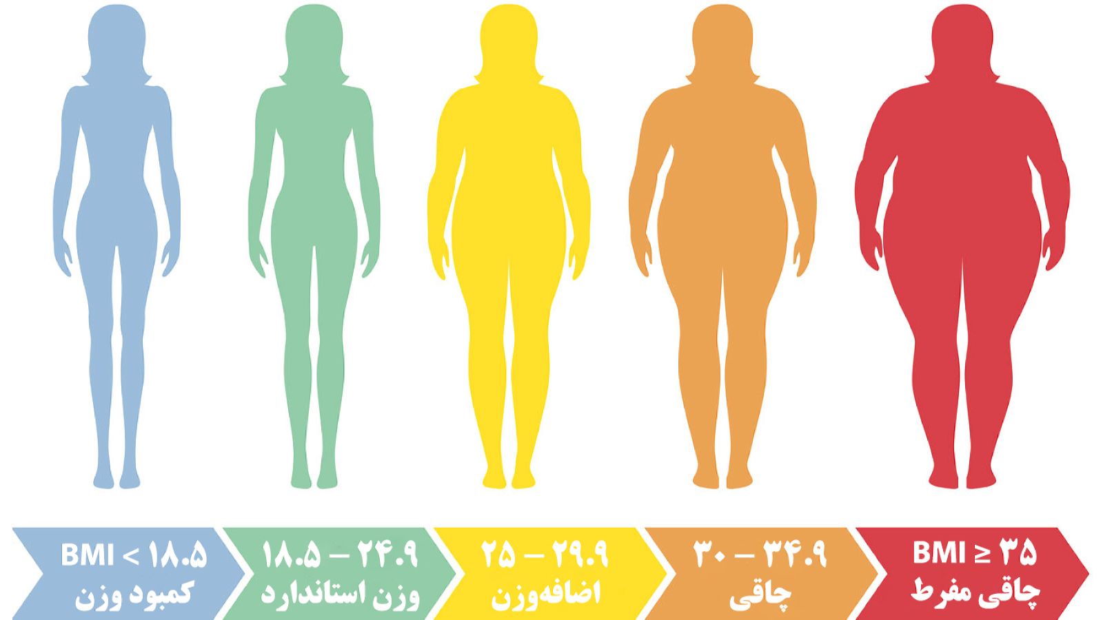 شاخص توده بدنی